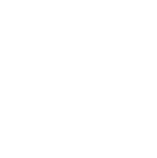 Bilgi Testi